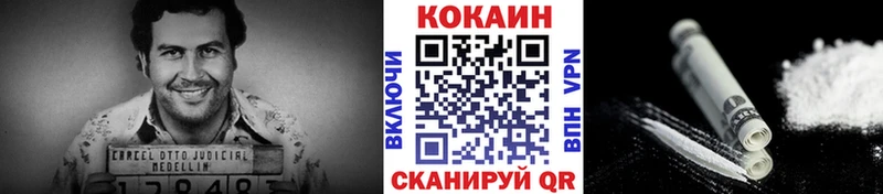 COCAIN Fish Scale  Шахунья 
