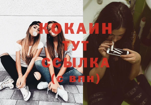 МДПВ Абаза