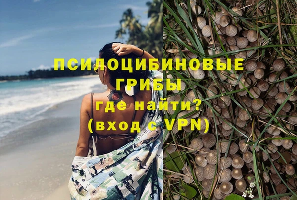 ECSTASY Абинск