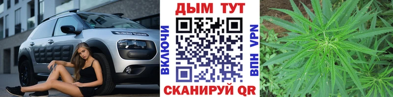 маркетплейс официальный сайт Шахунья Конопля семена